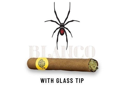 Lemonnade - Blanco - Blunt - 2g