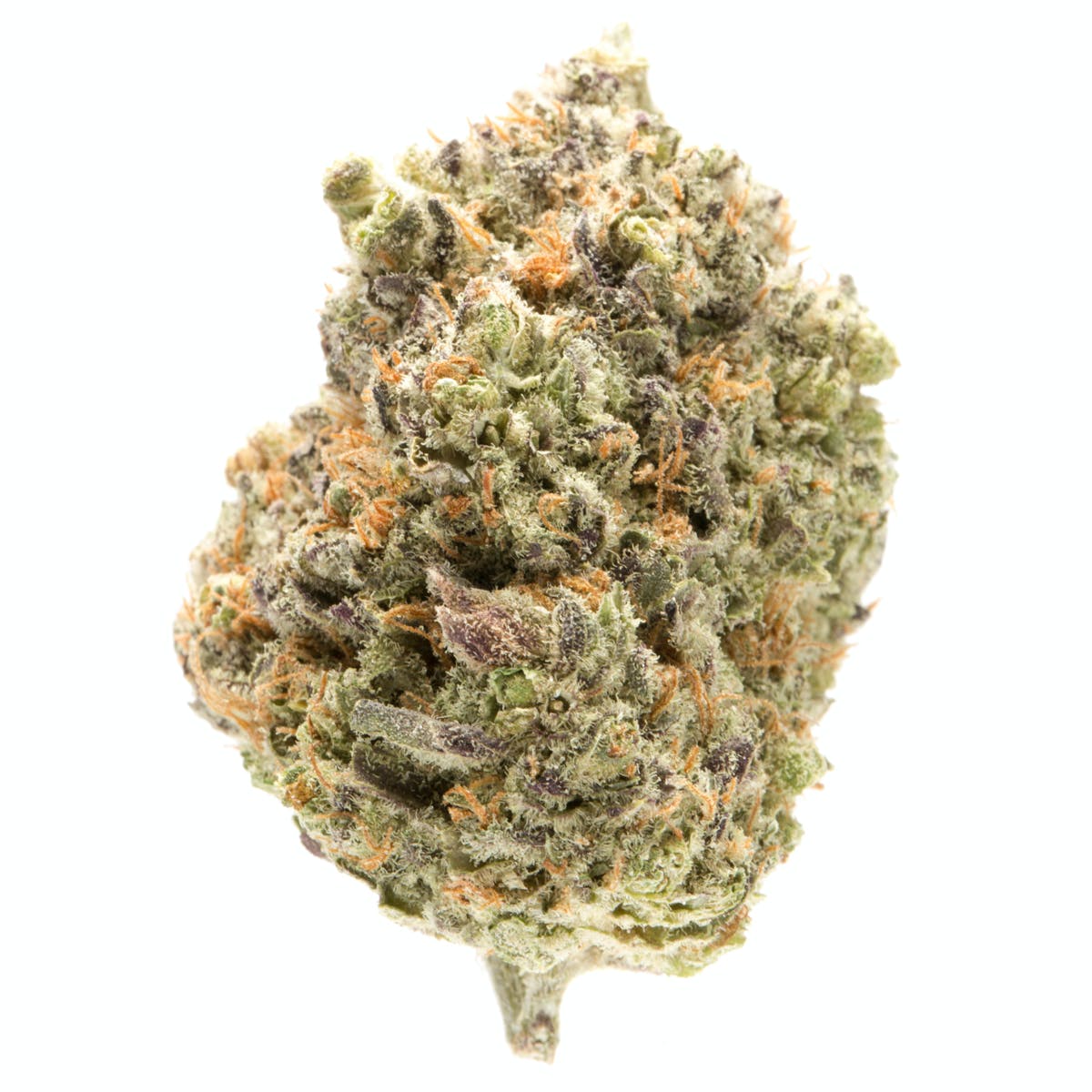 Critical Mass