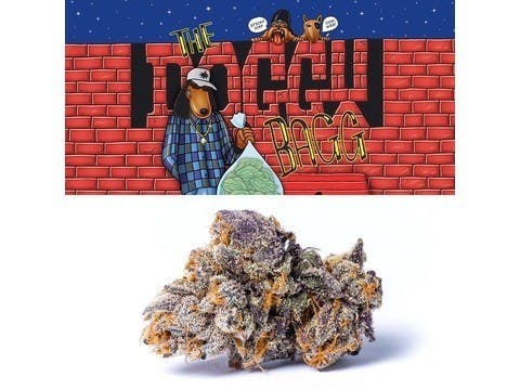 Cookies - The Doggy Bagg