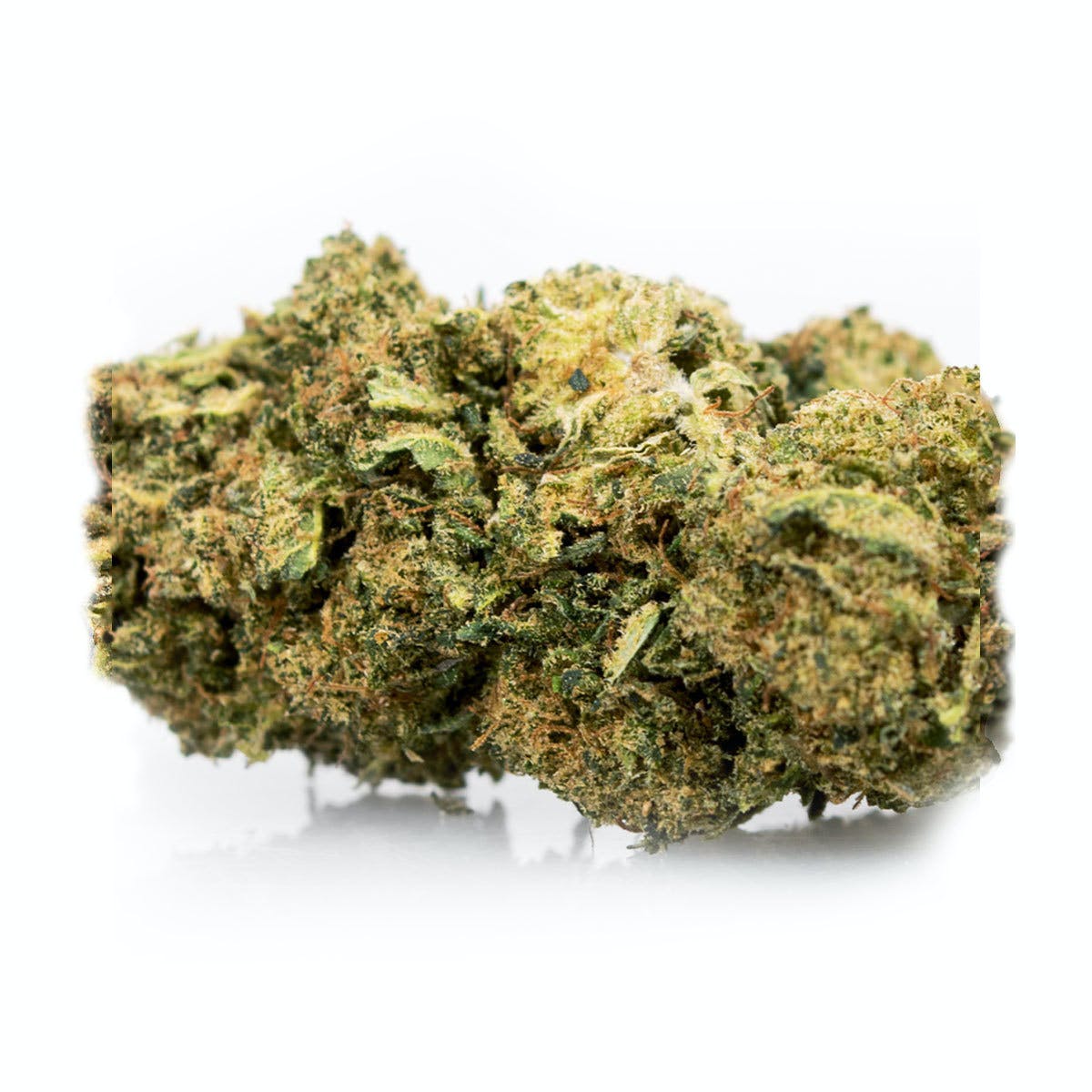 Northern Lights