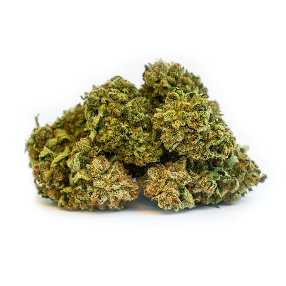 Super Silver Haze
