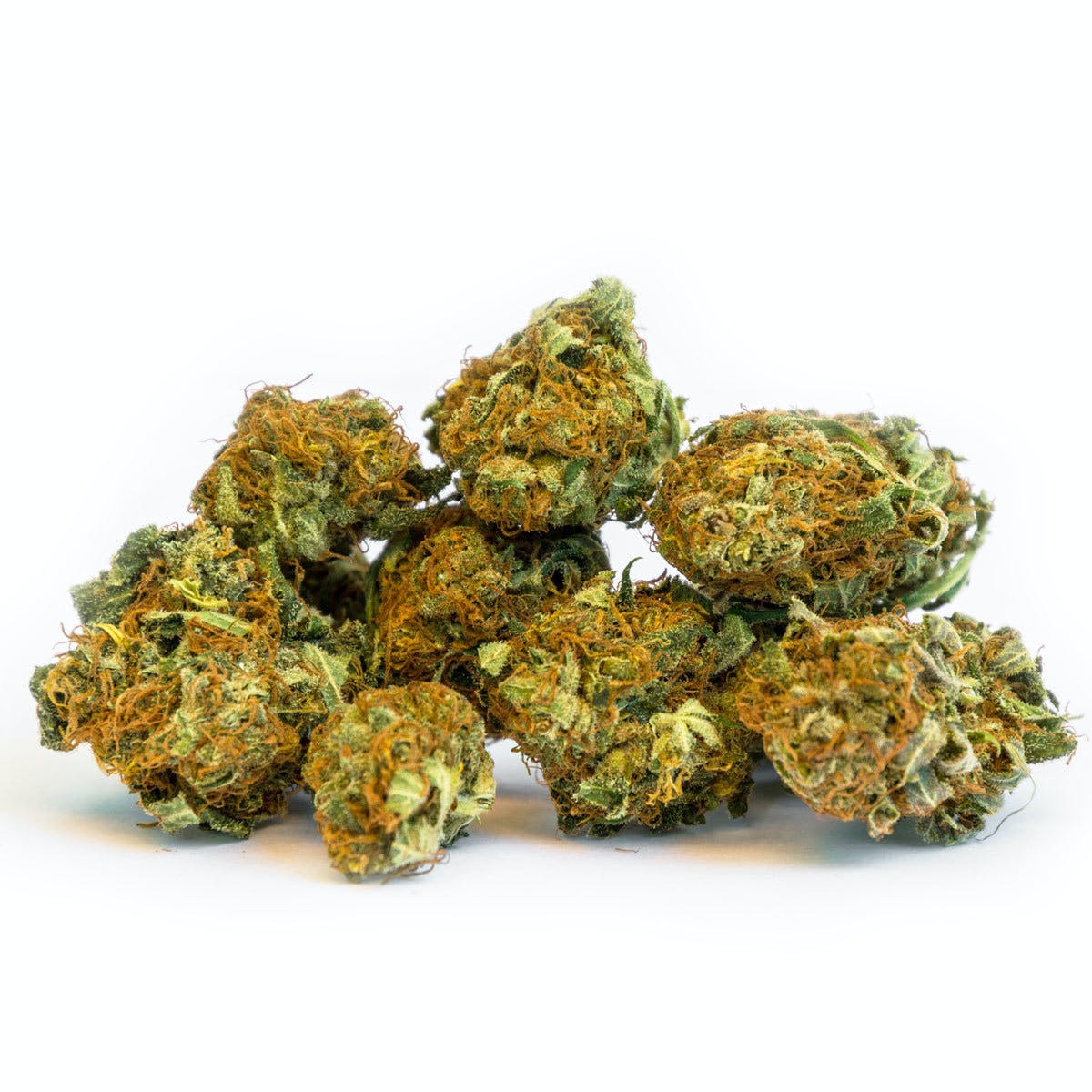 Afghan Cheese
