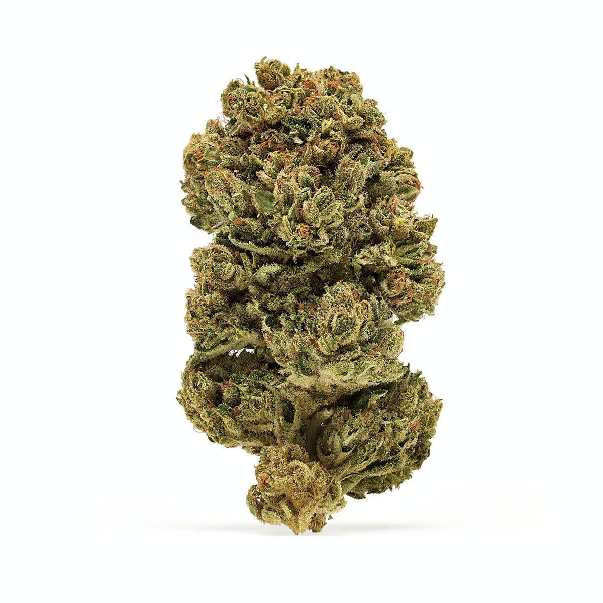 Botanicals B-1337