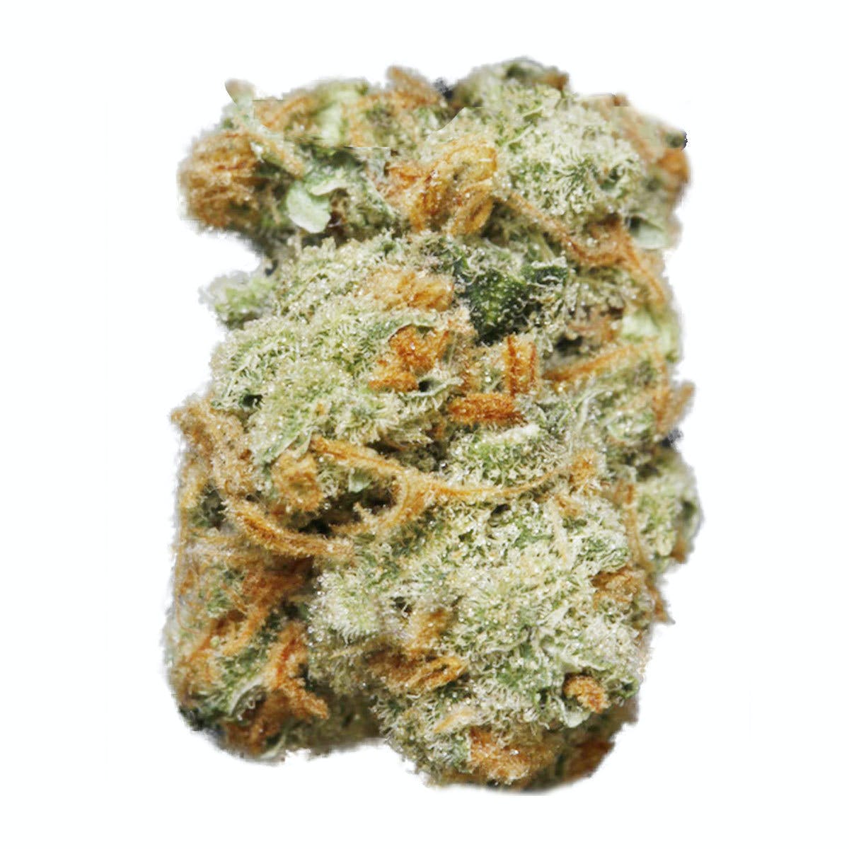 Dawg Star Kush