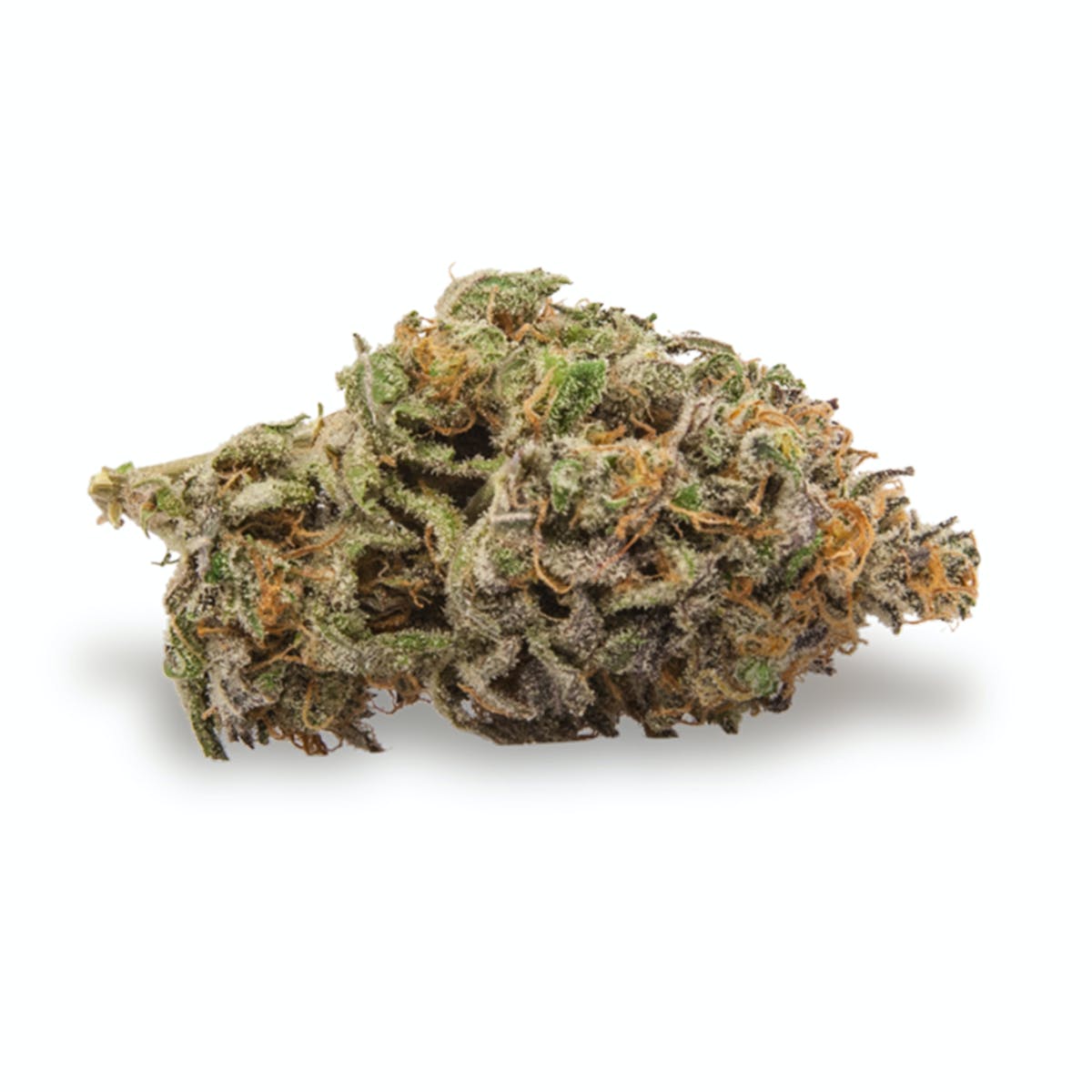 Black Afghan
