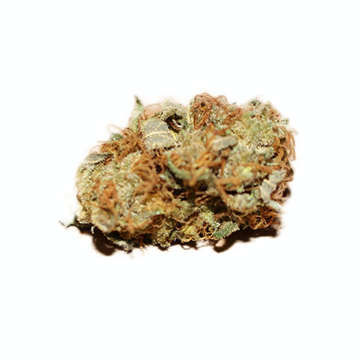 Afghan Cheese