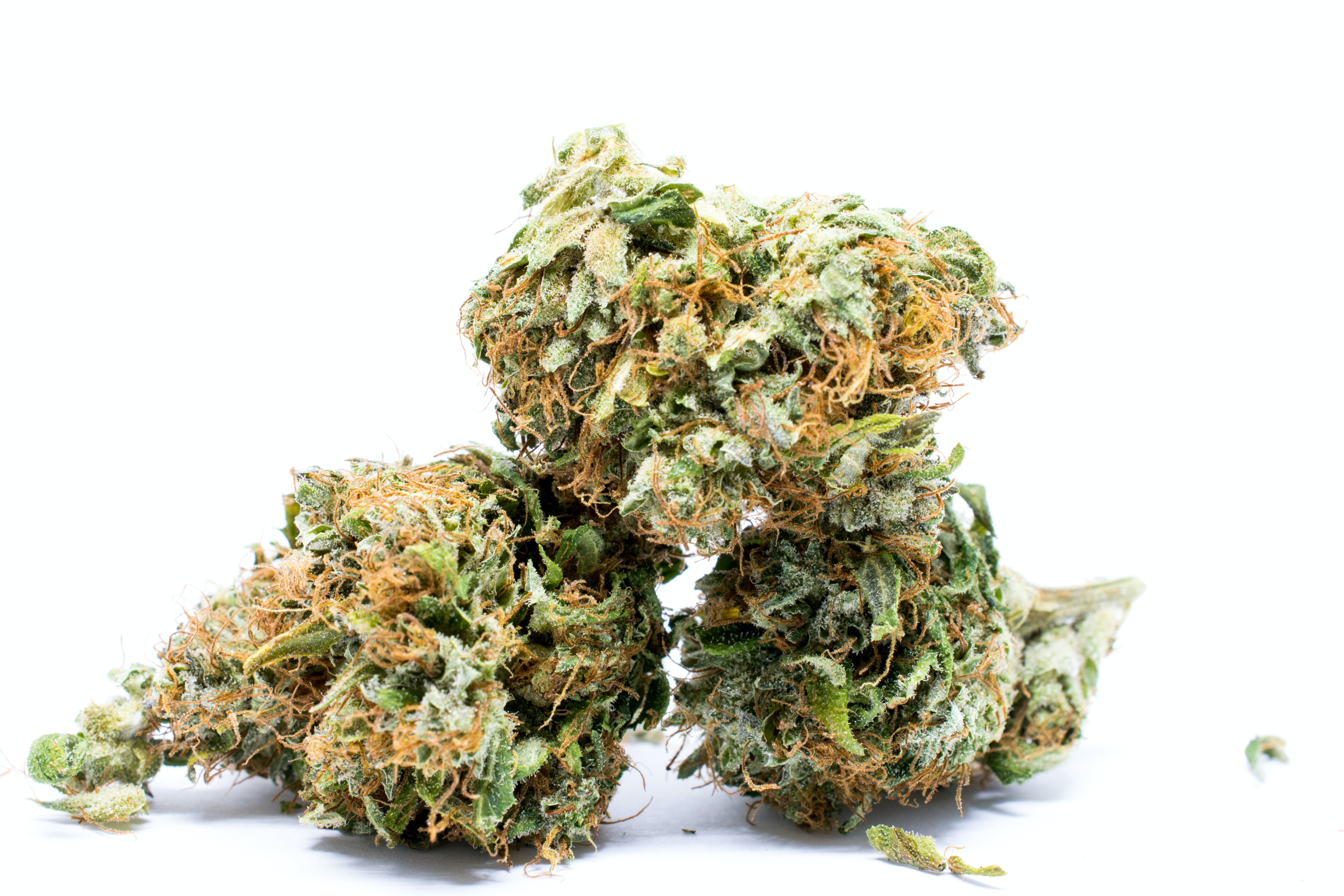 Afghan Kush