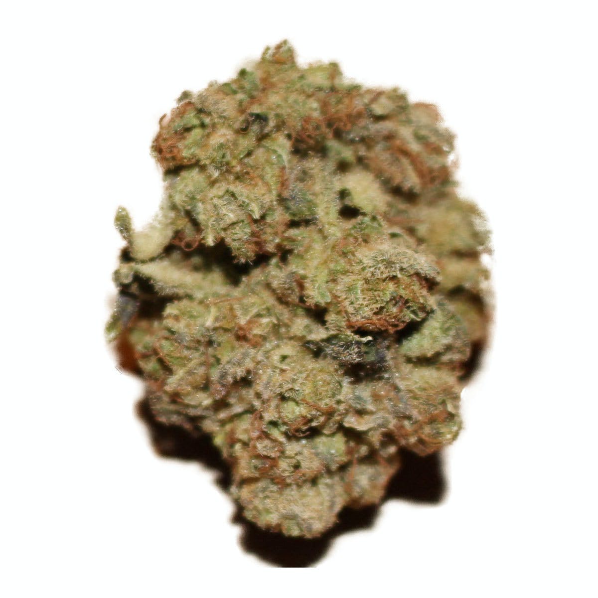 Magic Purple