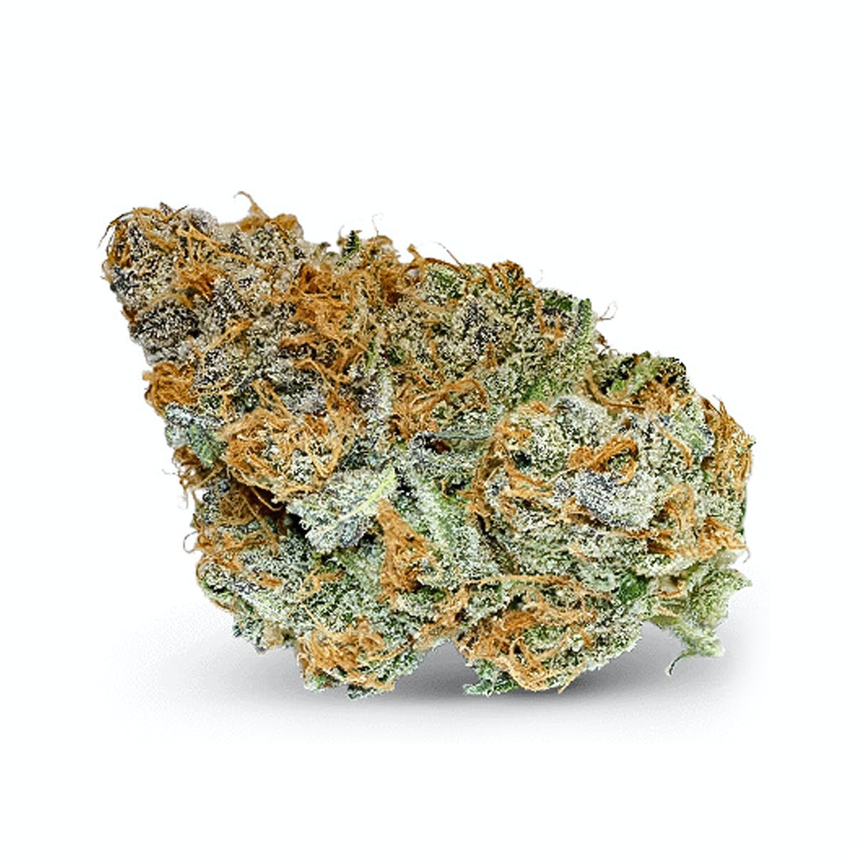 Jilly Bean
