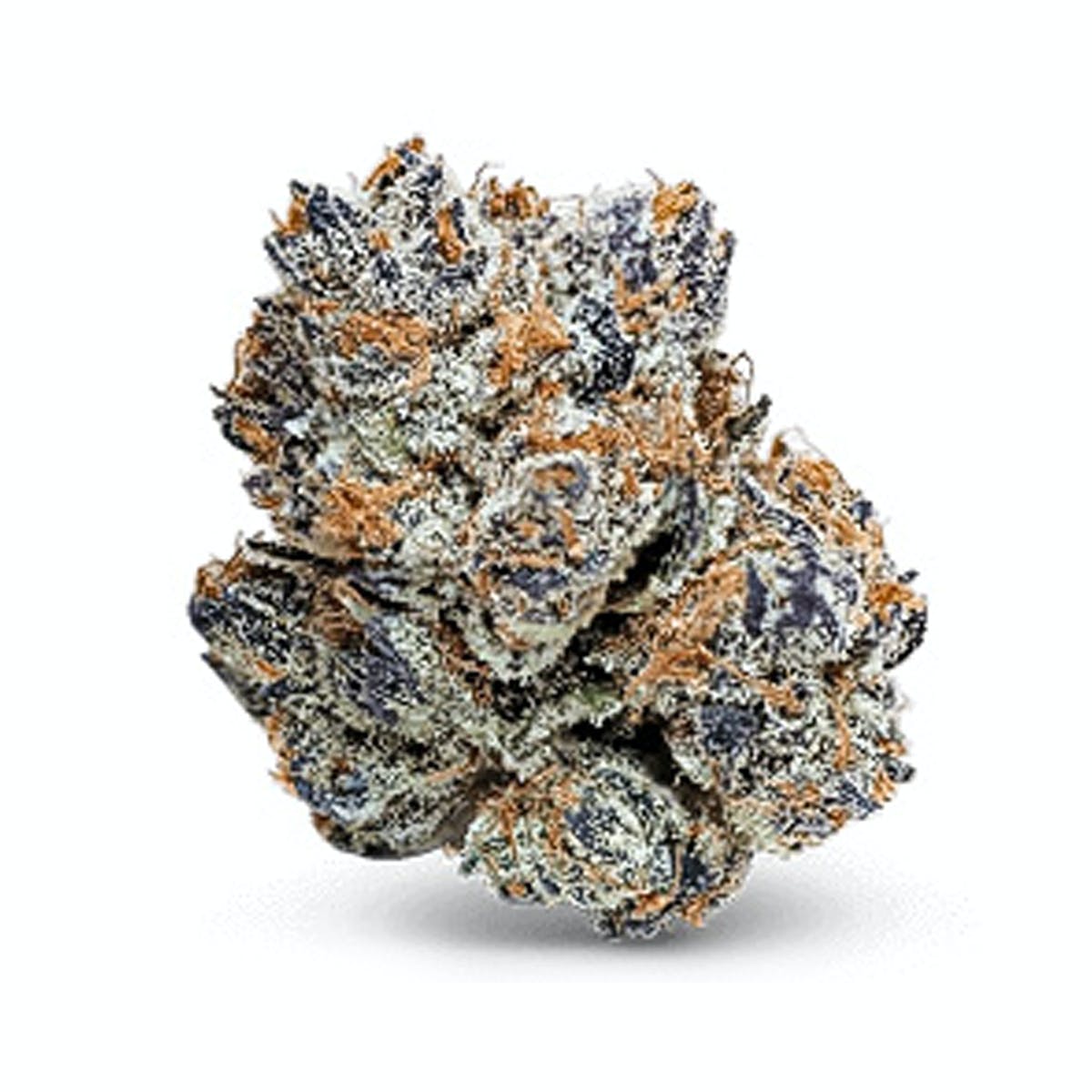 Samoas