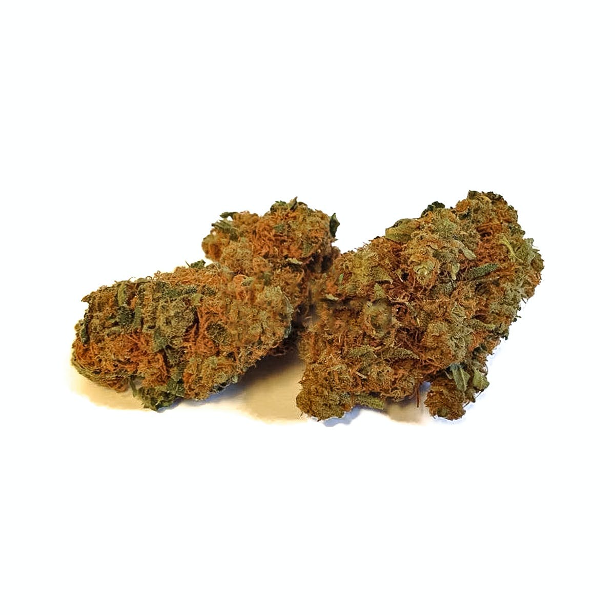 Orange Bud