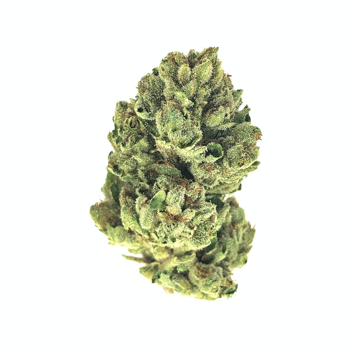 Str8Organics - Wi-Fi OG #43