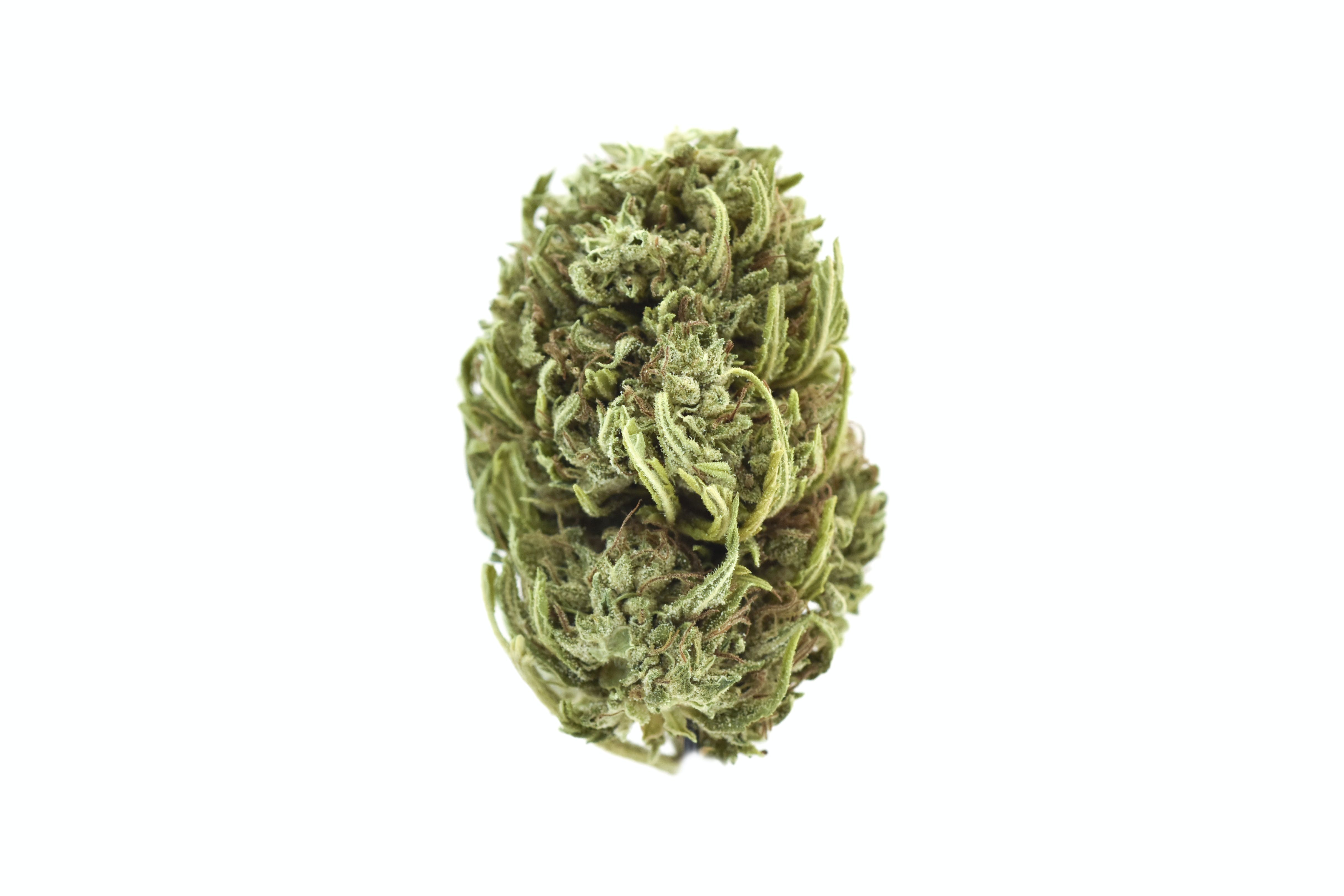 CBG Source
