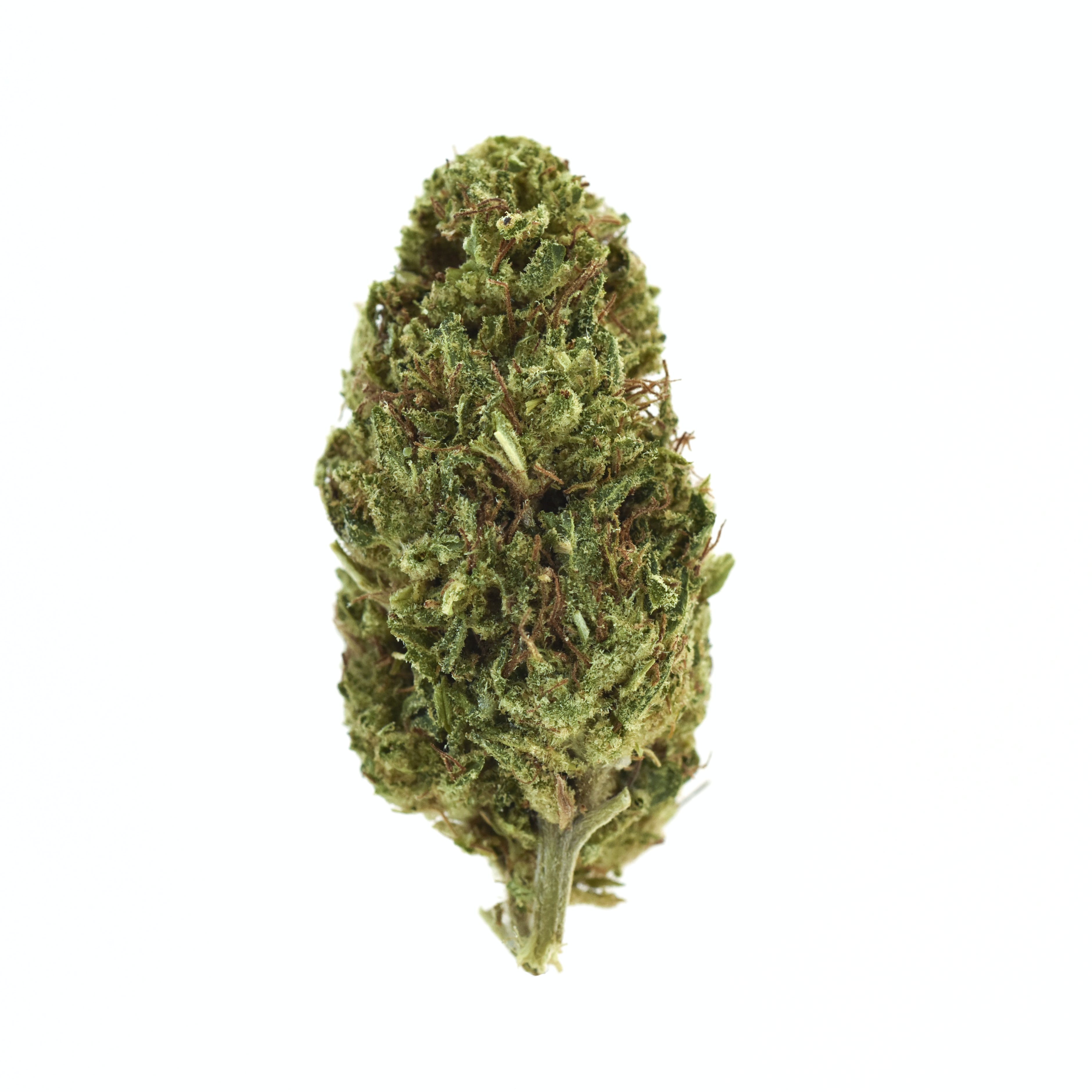 Hawaiian Haze
