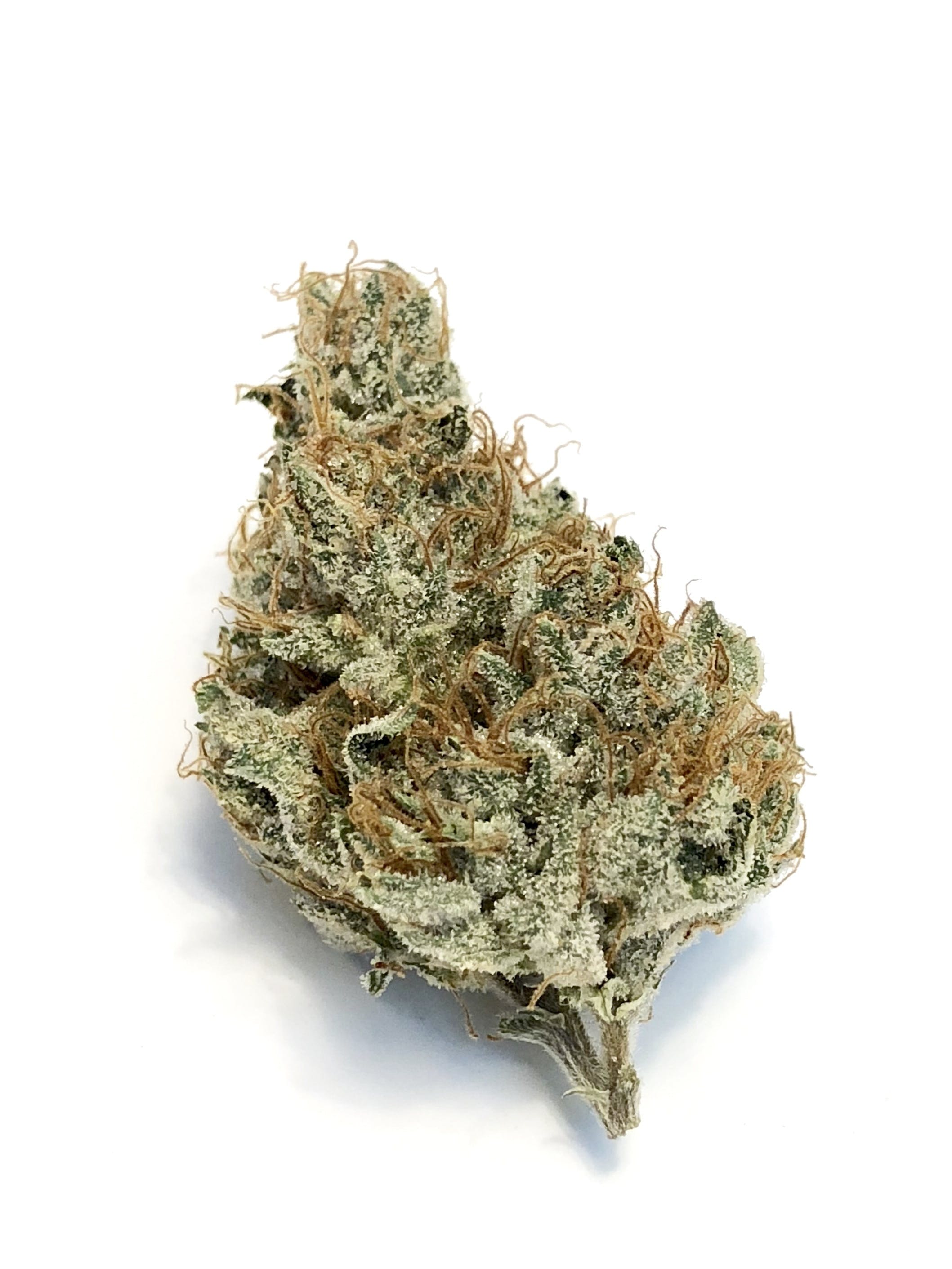 El Chapo OG