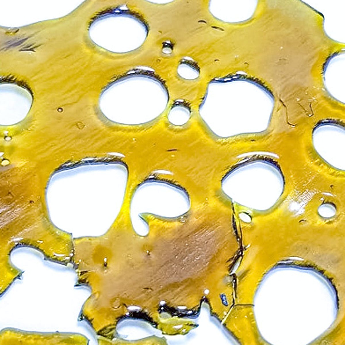 Tangie Wax