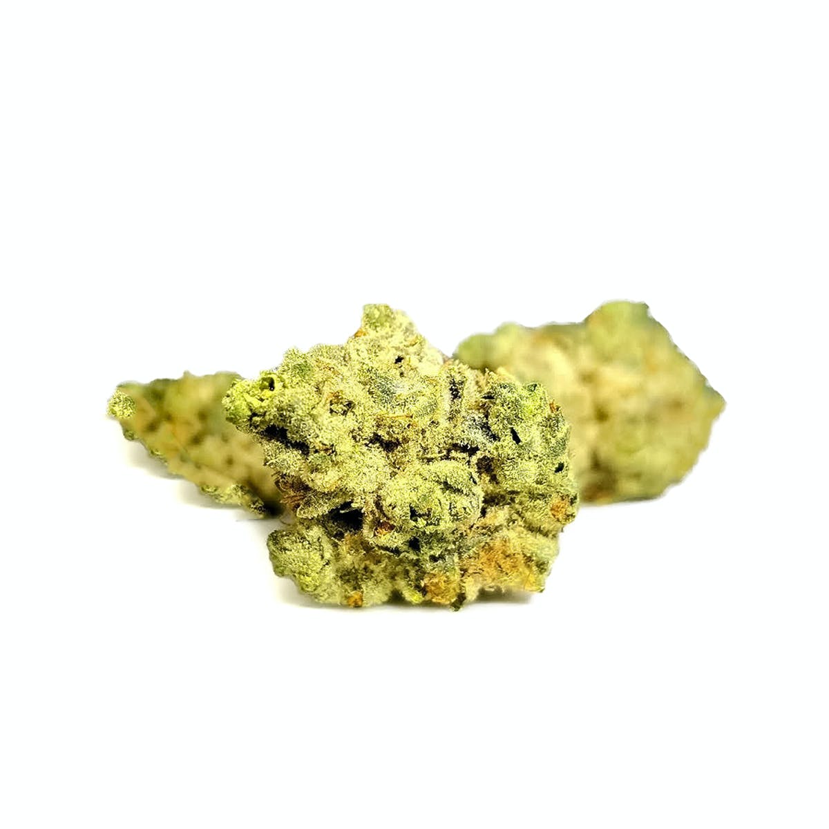 Tangie