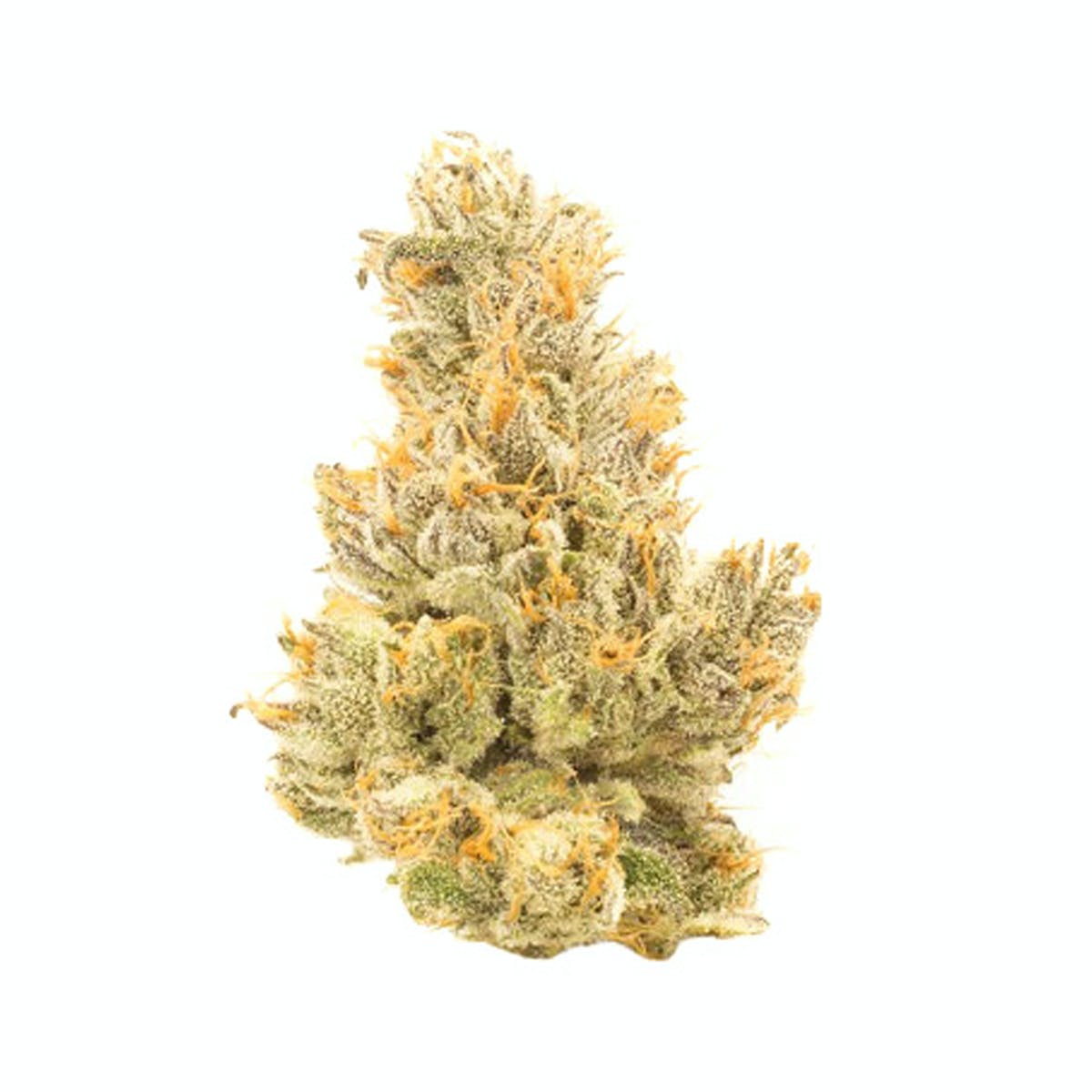 Rosaberry (CBD) by Culta
