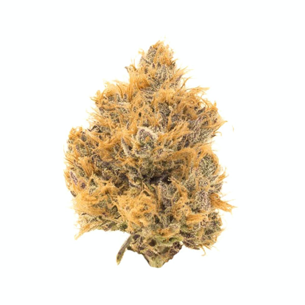 Mendo Purple by Culta