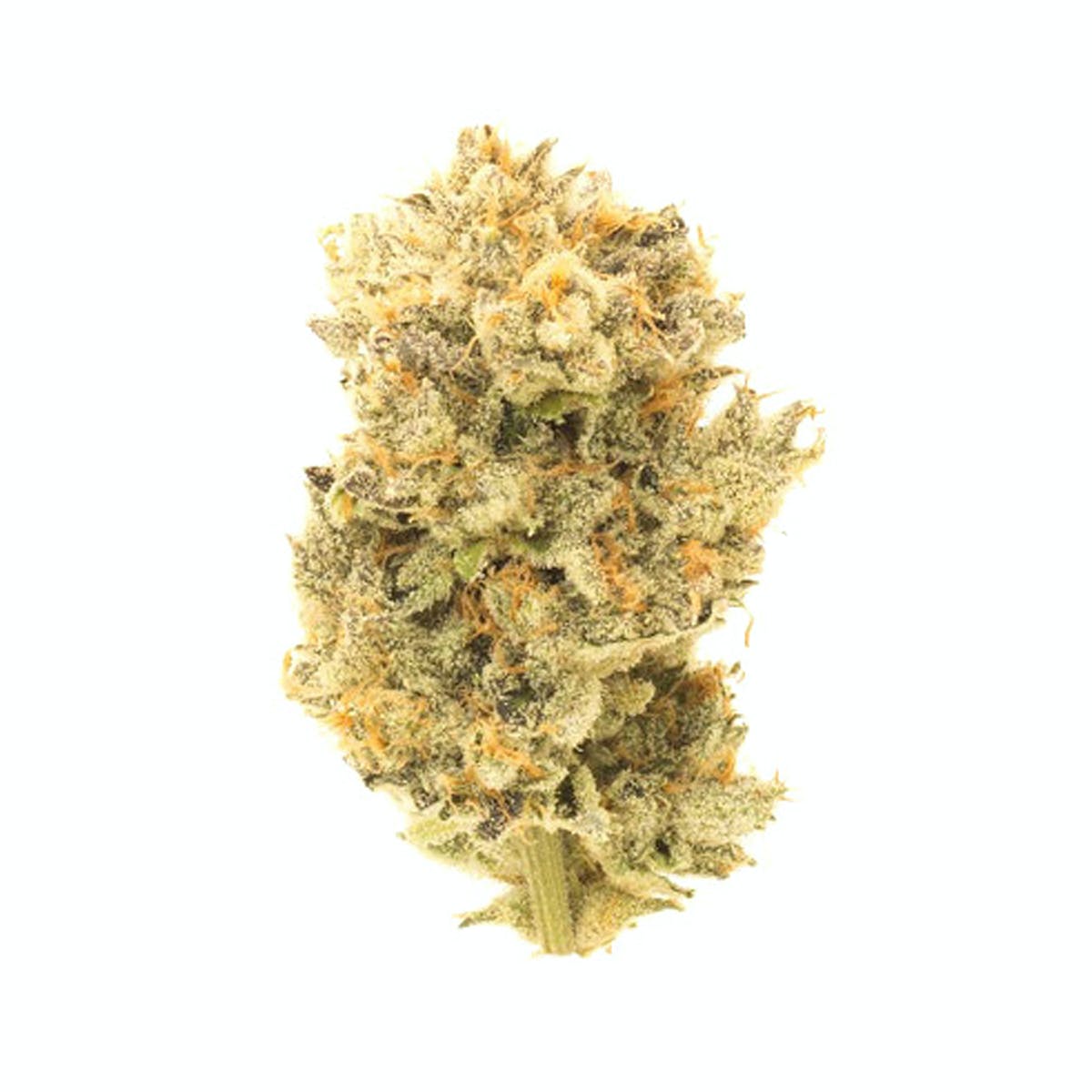 Humboldt Legacy OG by Culta