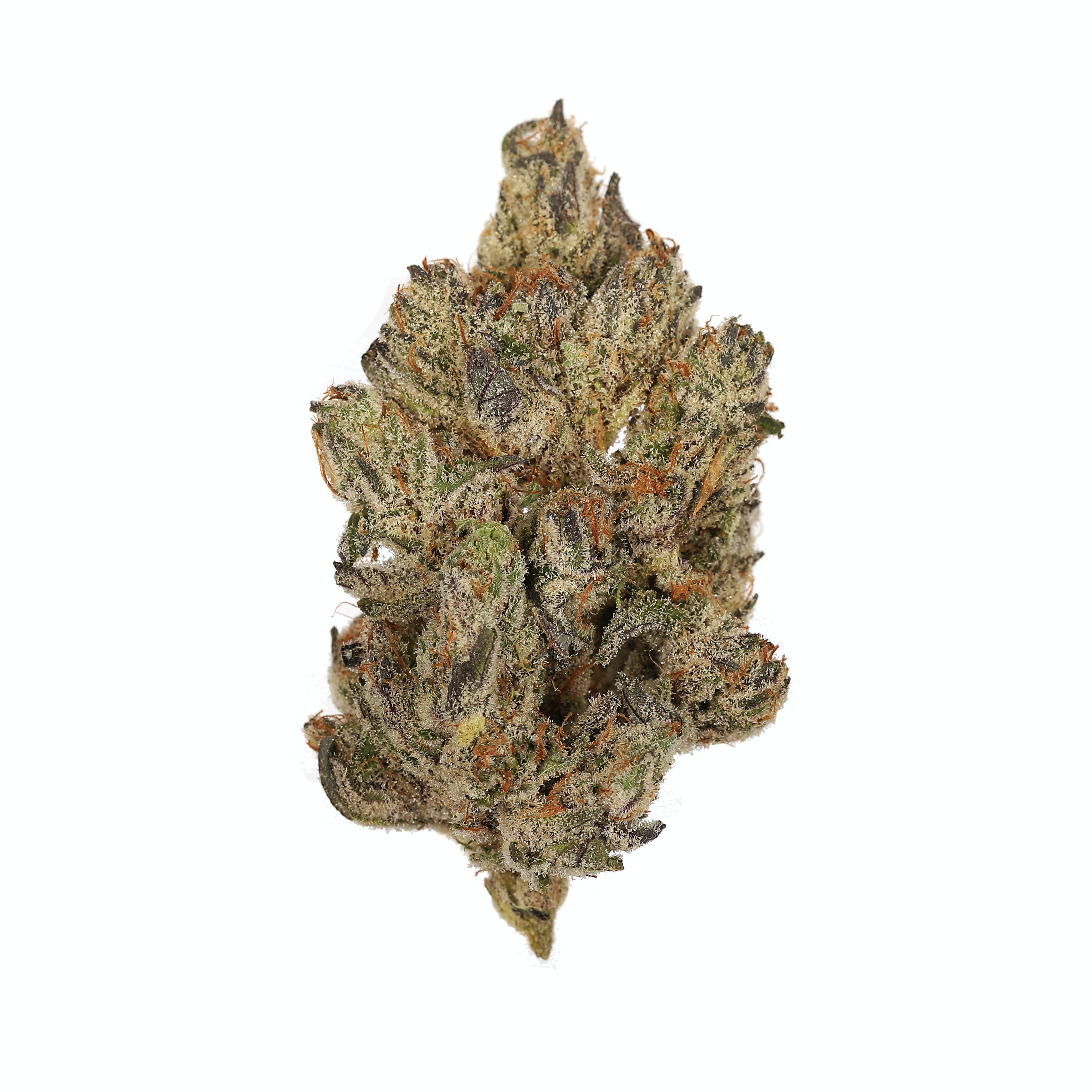 Grease Monkey