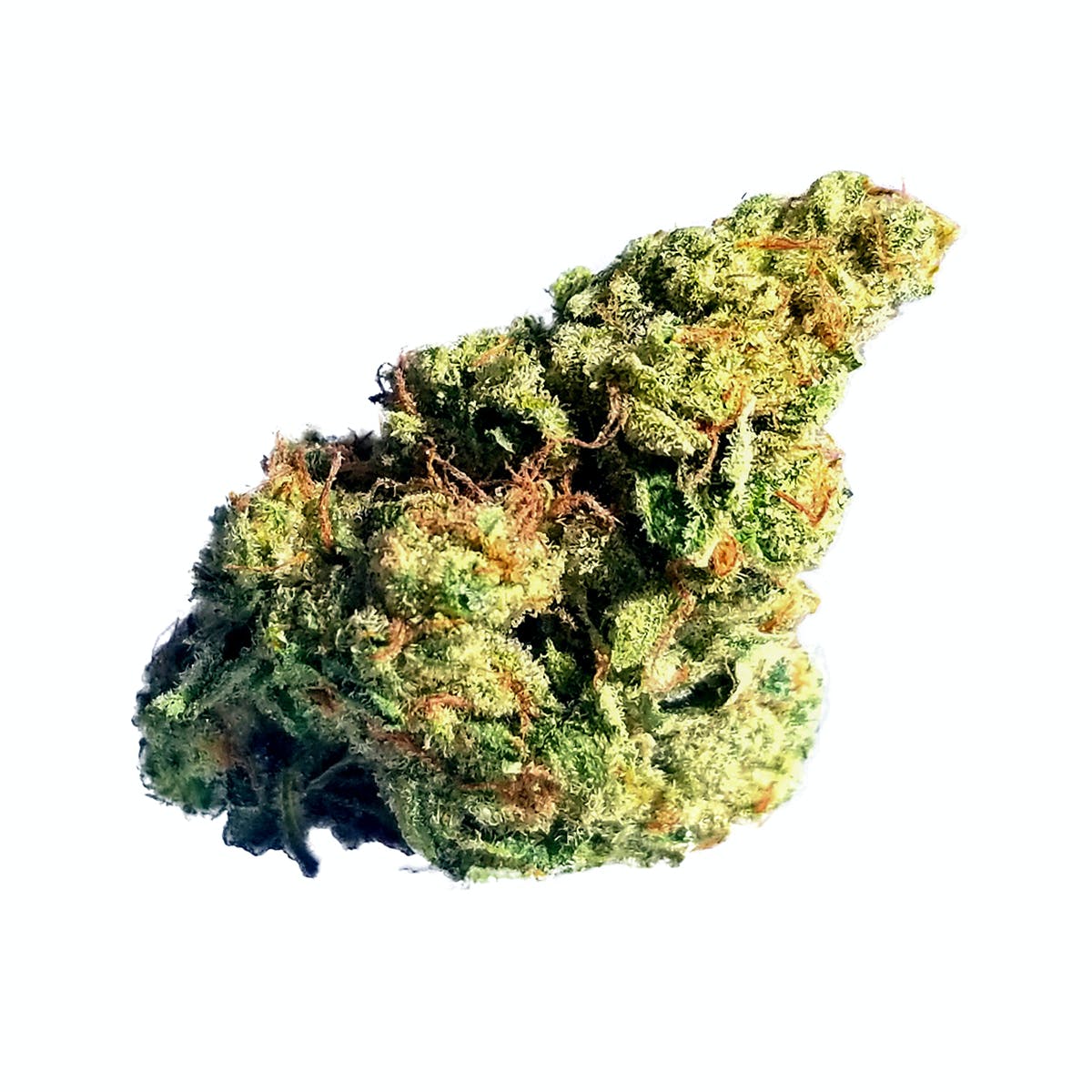 Orange Cookies