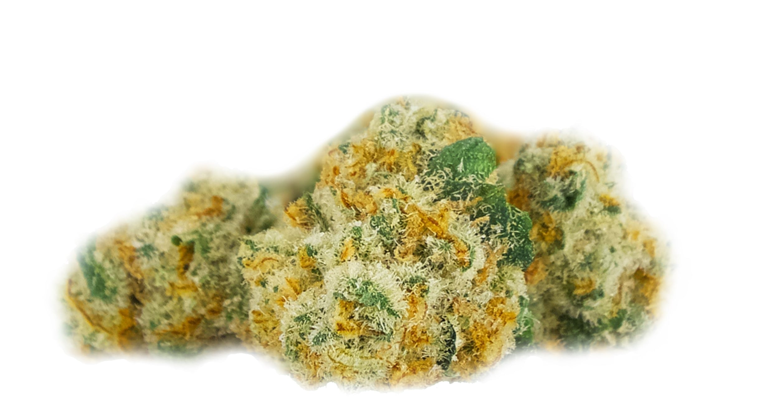 Vapor Spirit Swiss Cannabisblüten "Canna Dream"