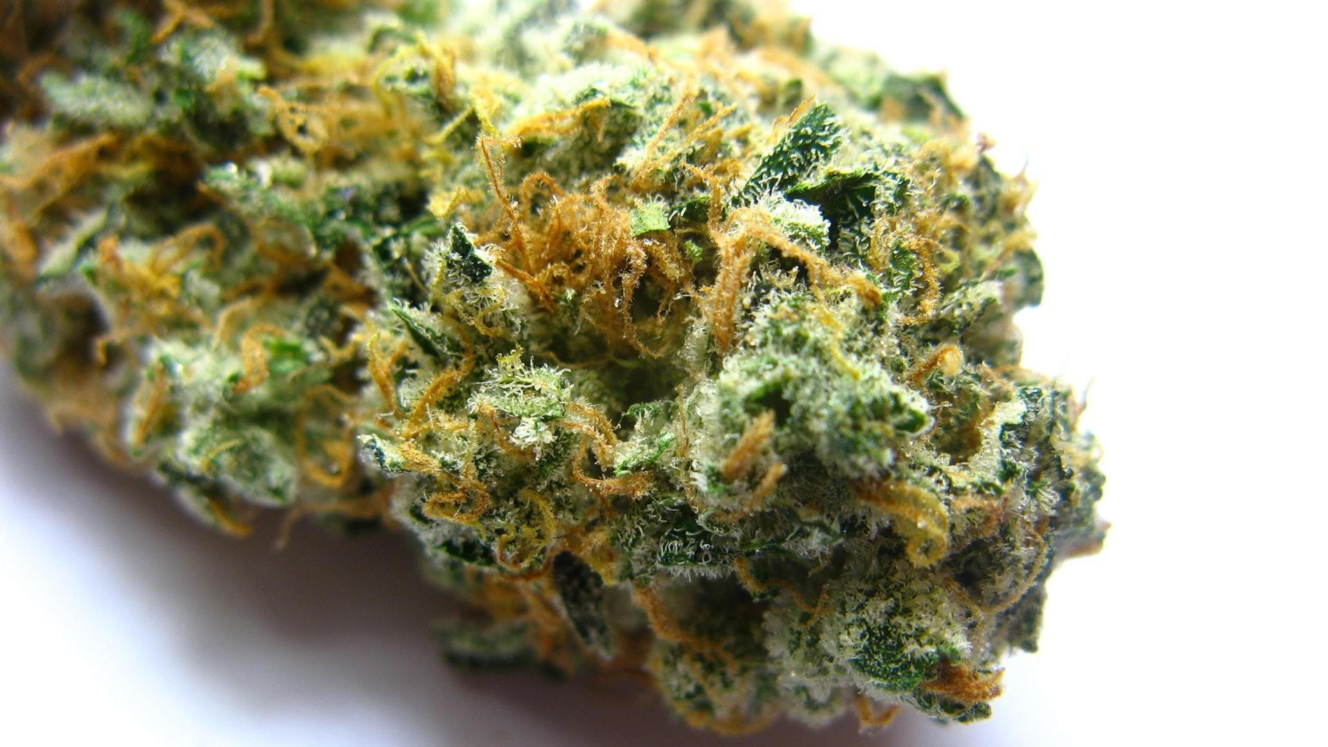 Vapor Spirit Swiss CBD Cannabisblüten Sour Diesel