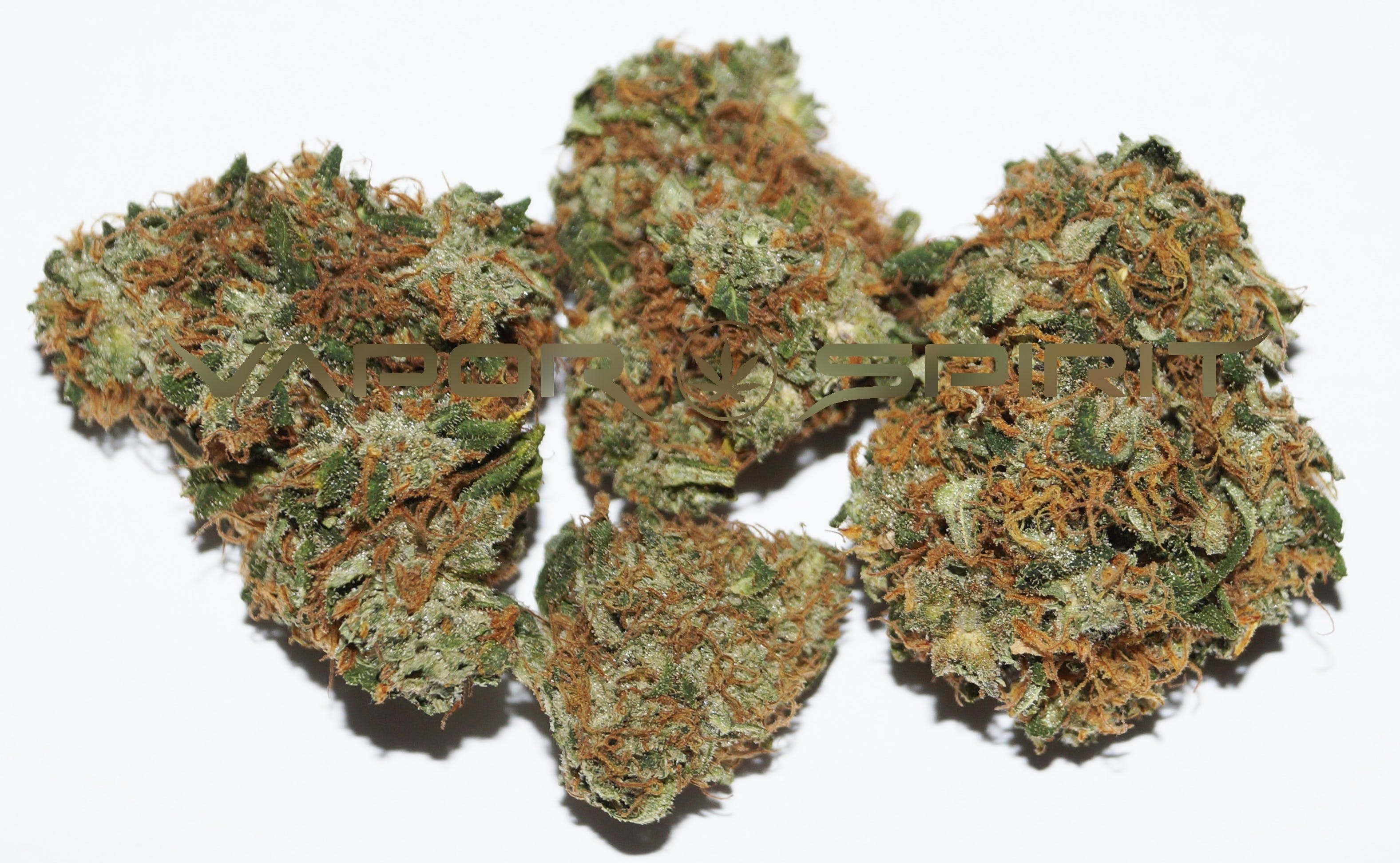Vapor Spirit Swiss CBD Cannabisblüten "Orange Bud"