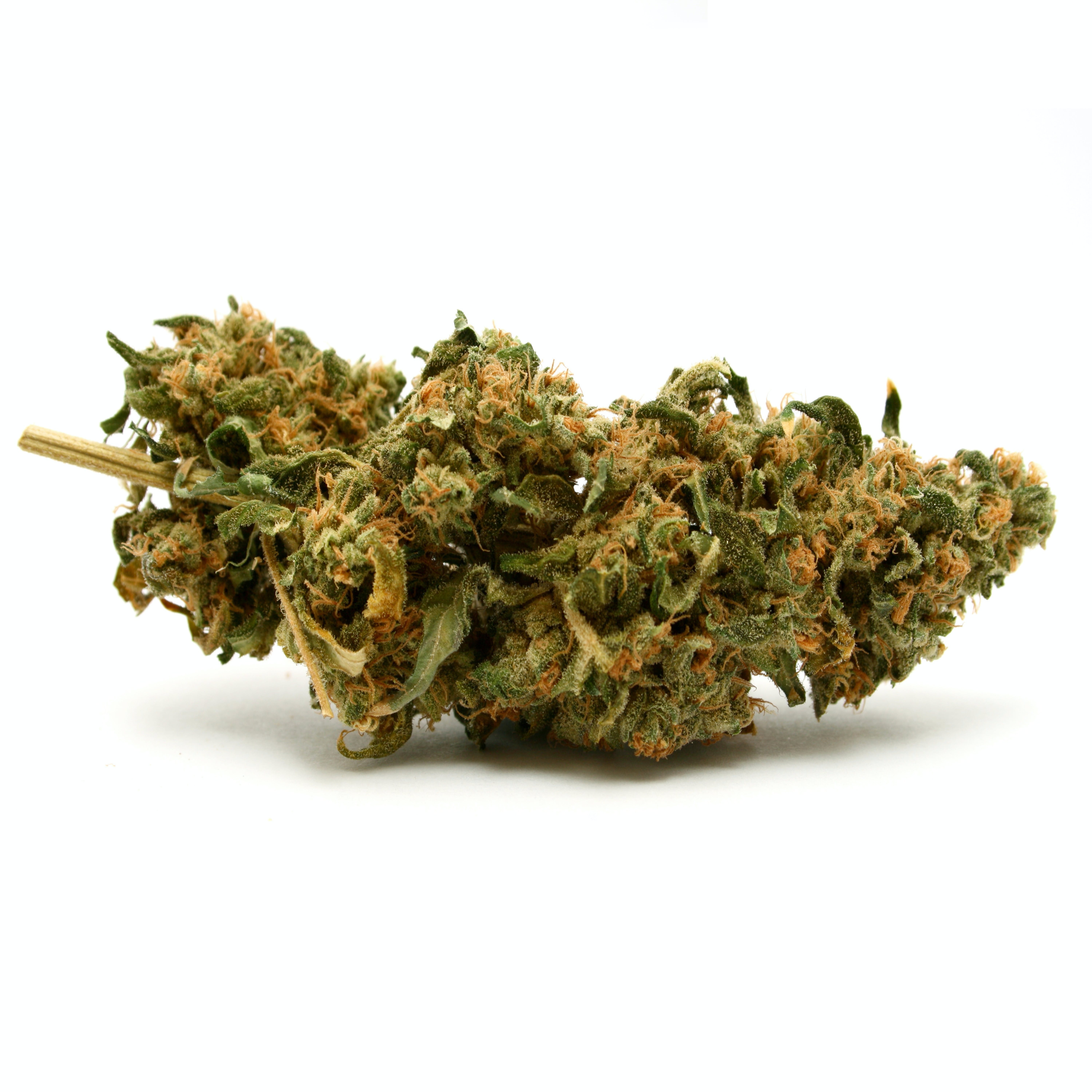 Blueberry CBD