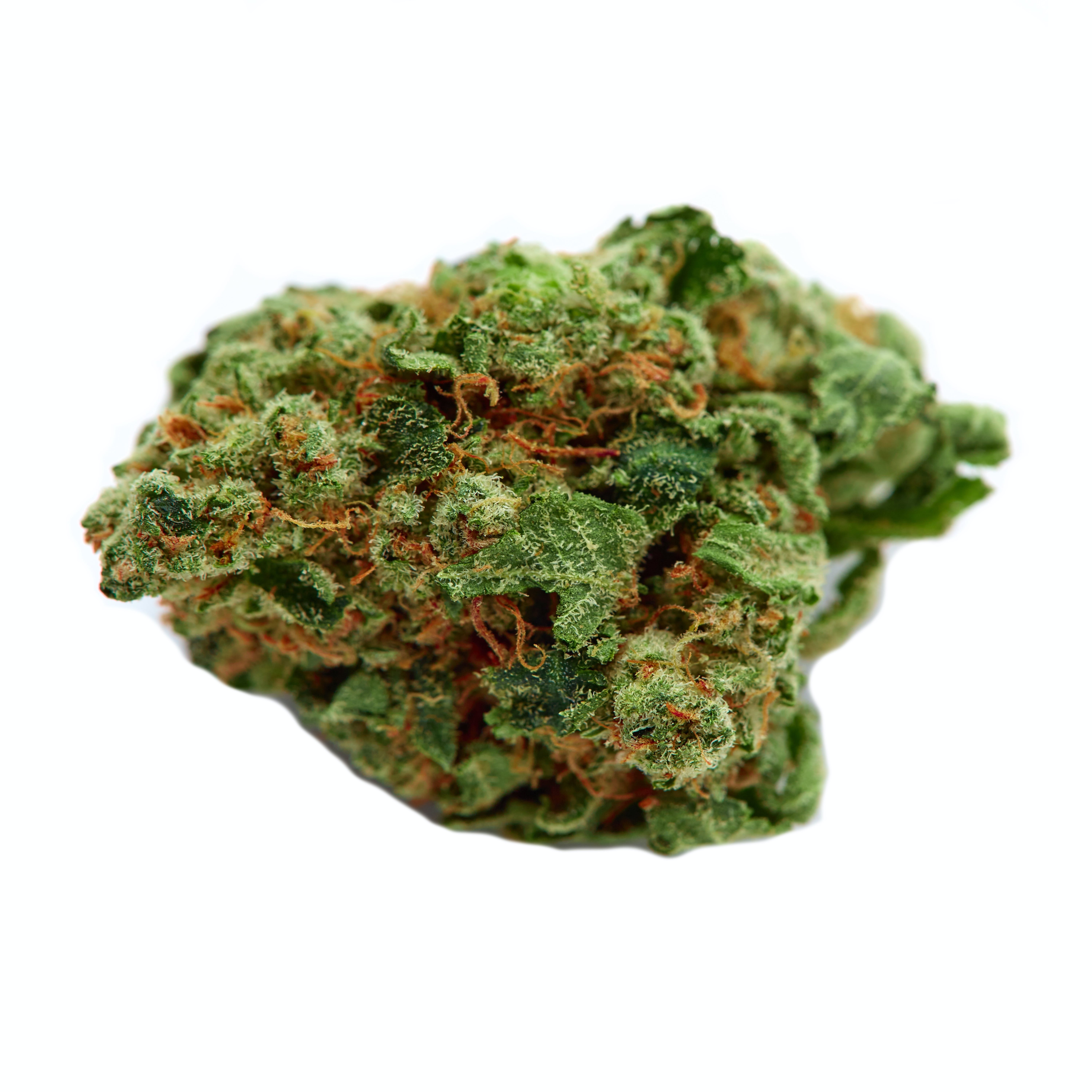 Harlequin CBD