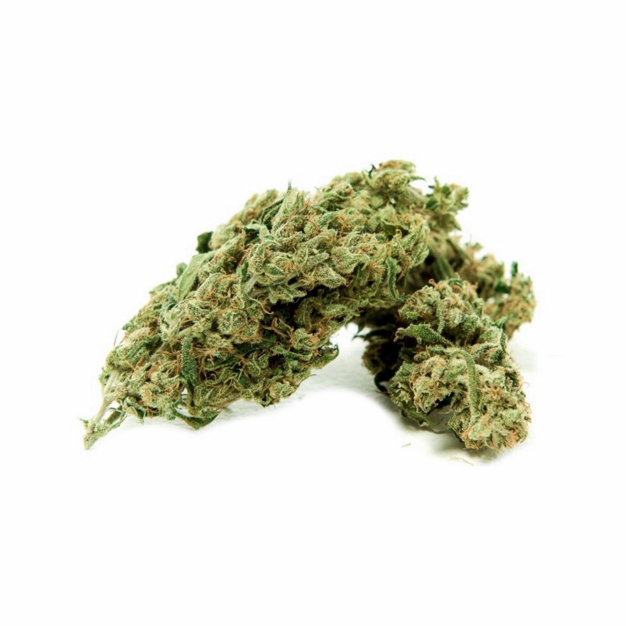 Power Plant CBD