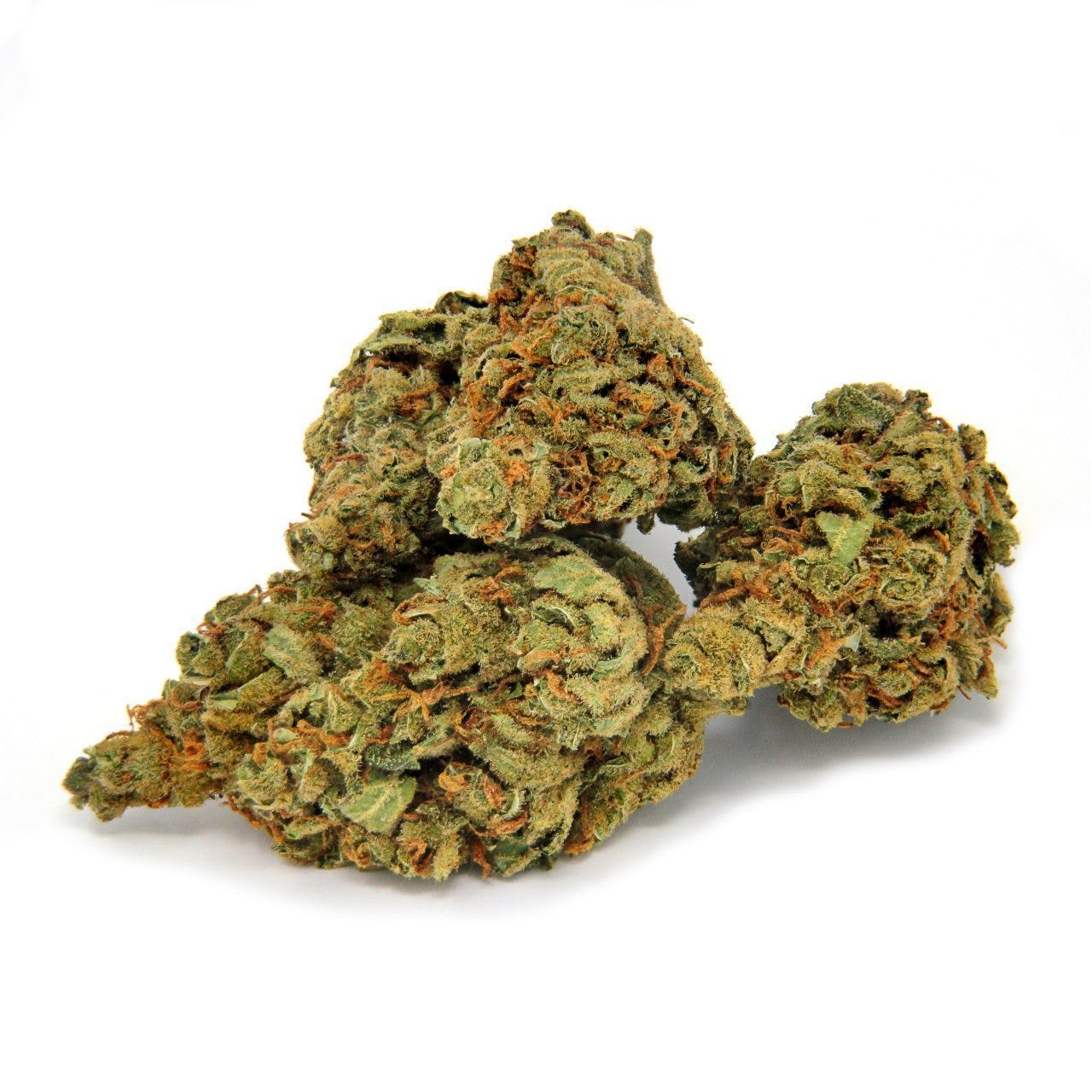 Black Domina CBD