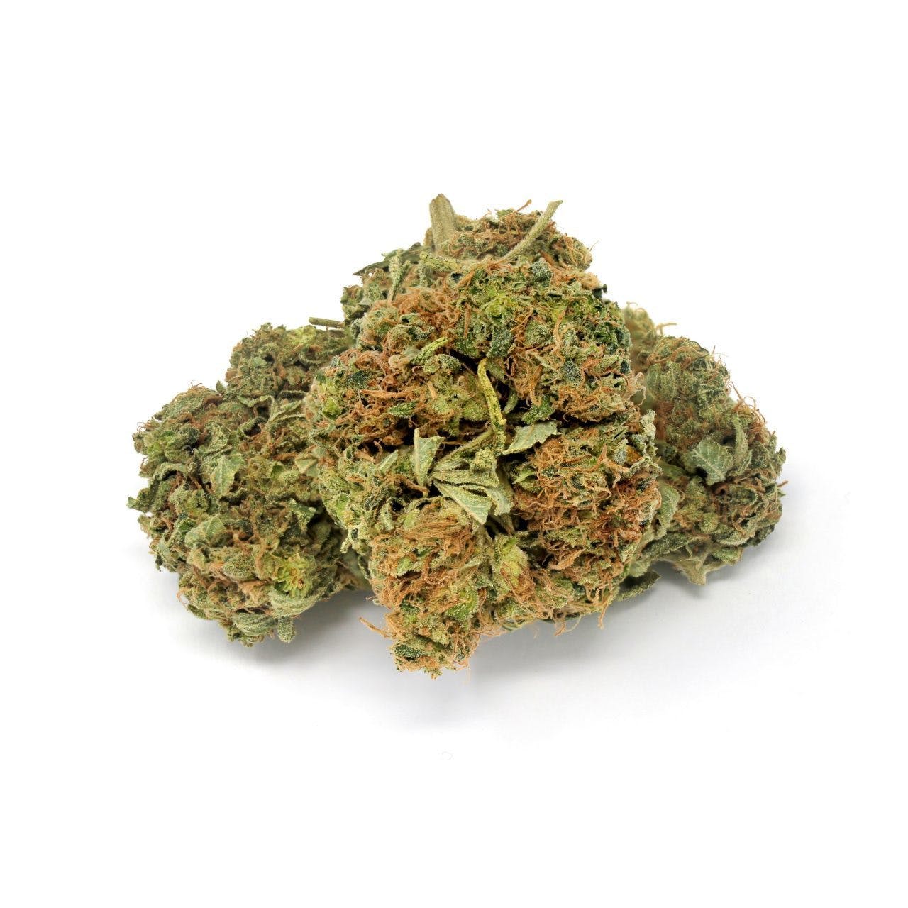 White Russian CBD