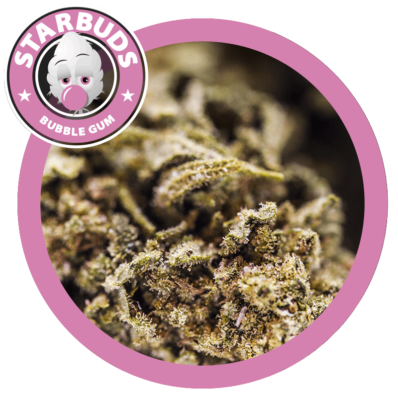 BUBBLEGUM
