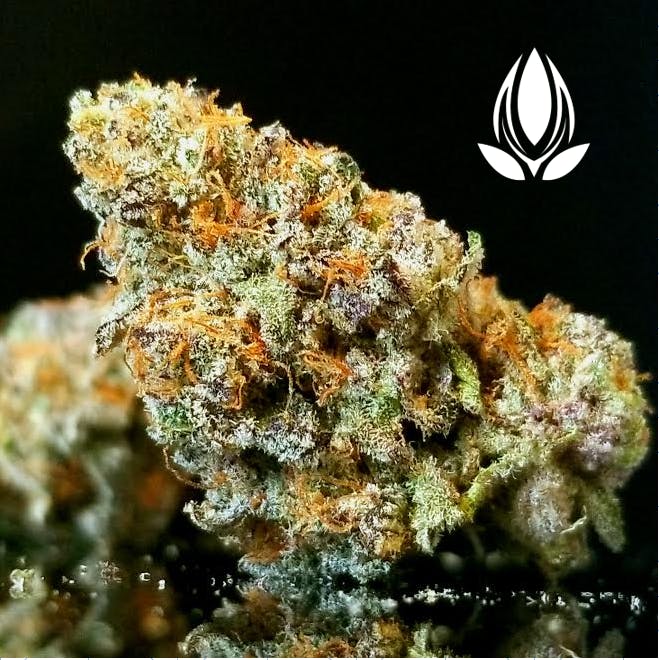 London Pound Cake - Private Reserve