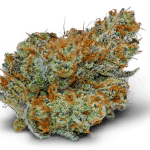 Sunshine Daydream