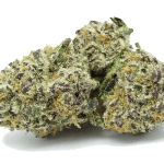 Purple Punch