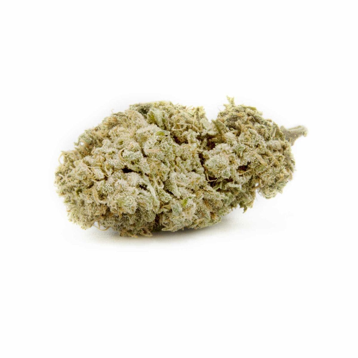 Lemon Louis