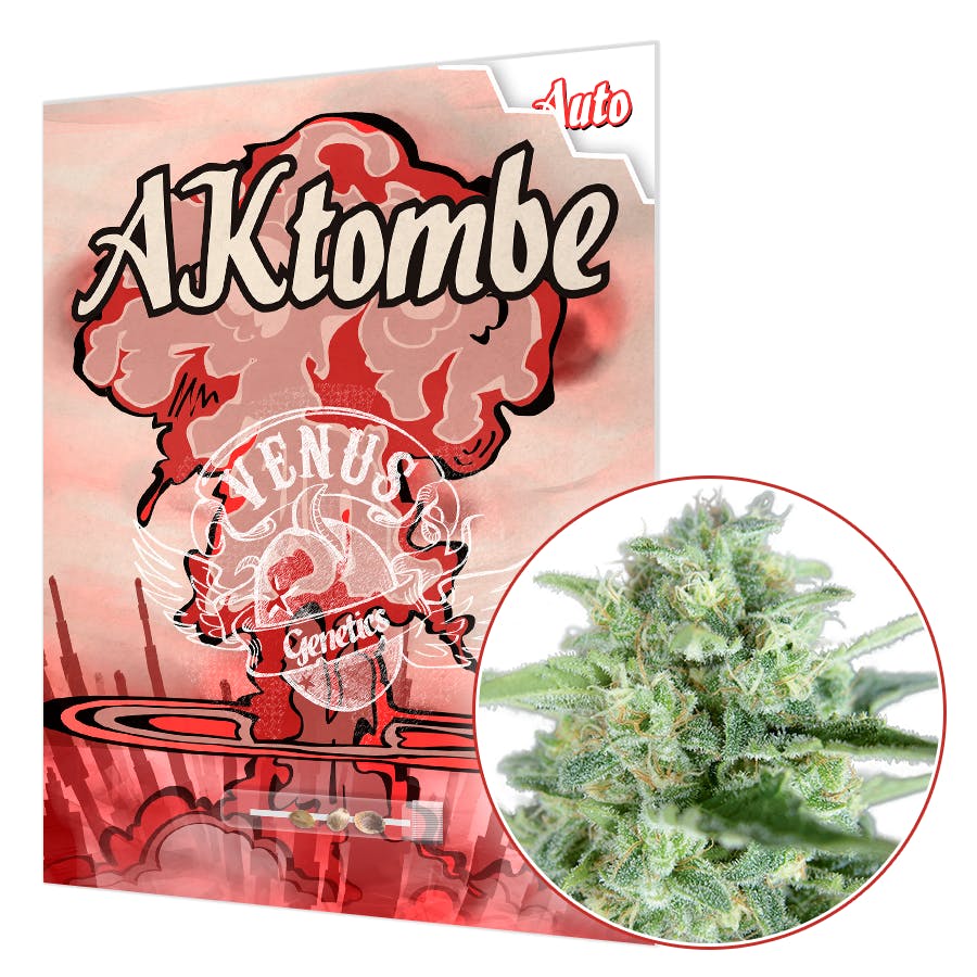 AKtombe AUTO