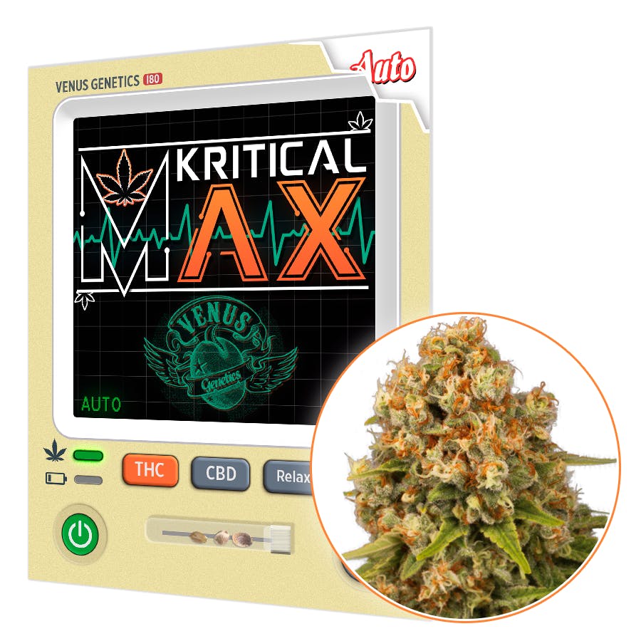 Kritical Max AUTO