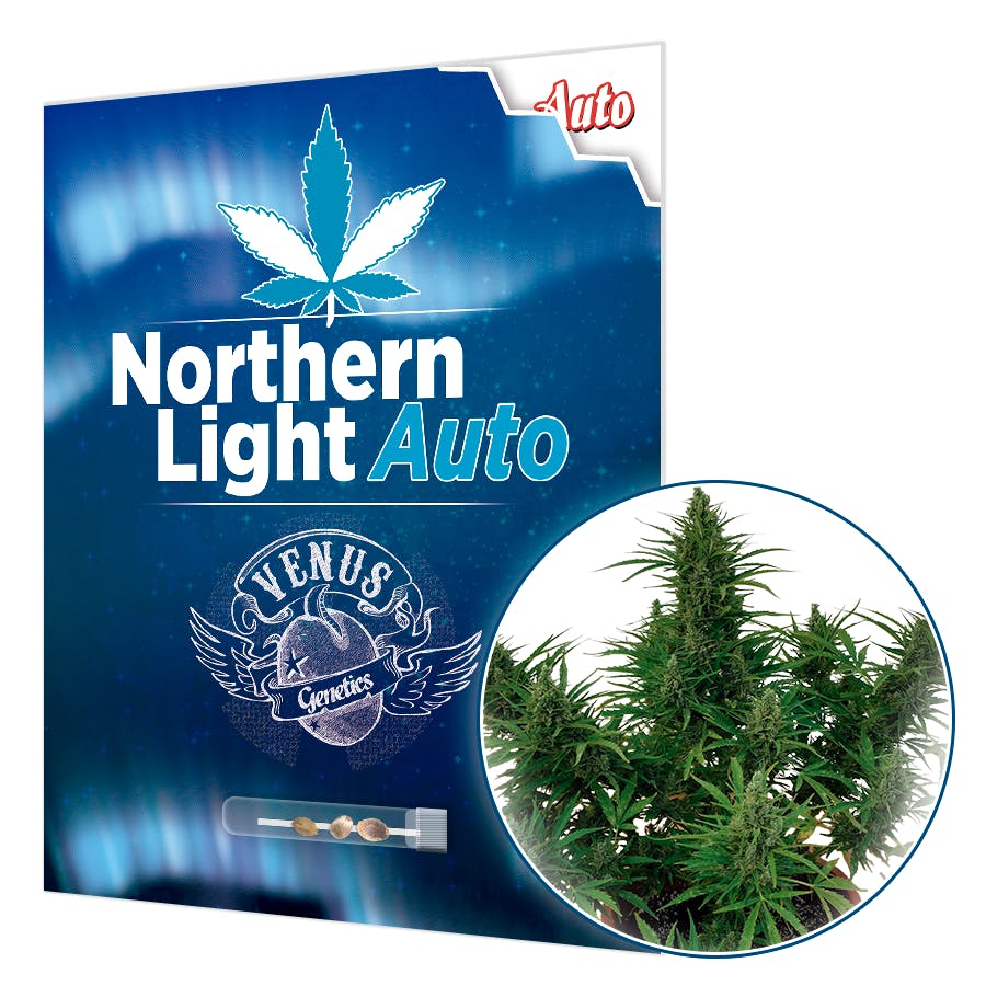 Northern Light AUTO