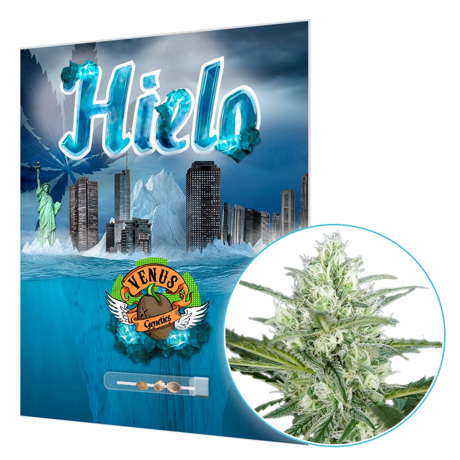 Hielo