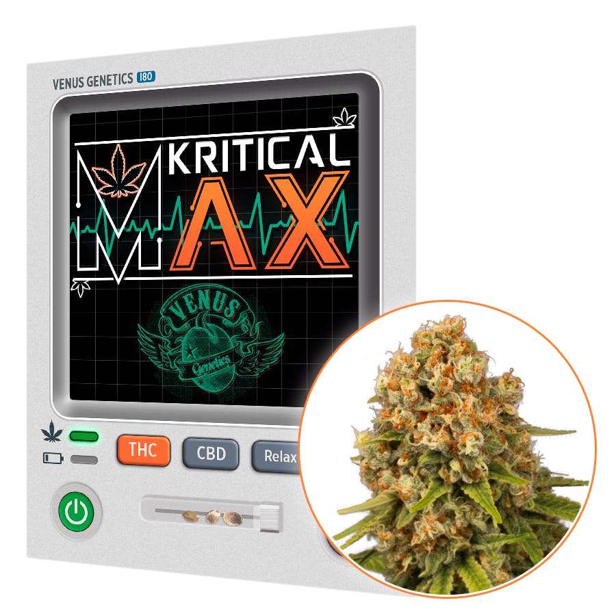 Kritical Max