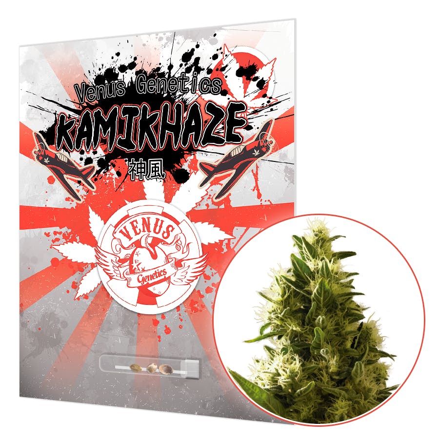 Kamikhaze