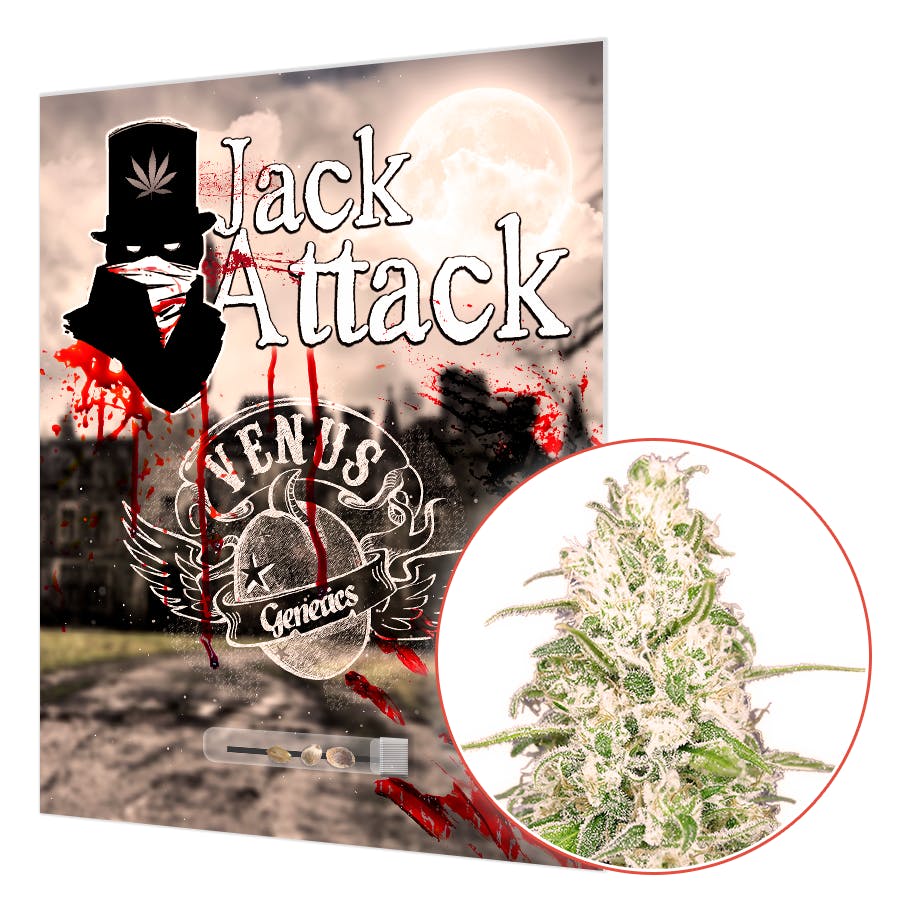 Jack Attack