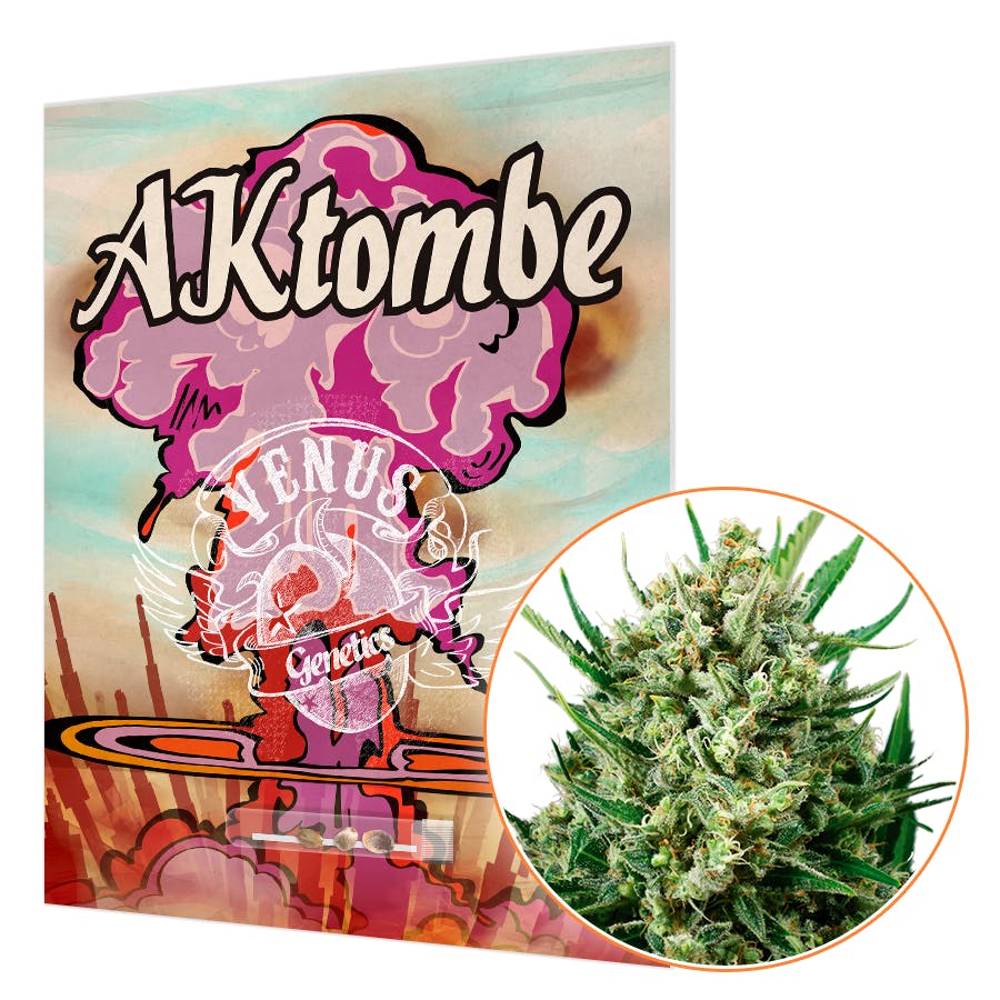 AKtombe