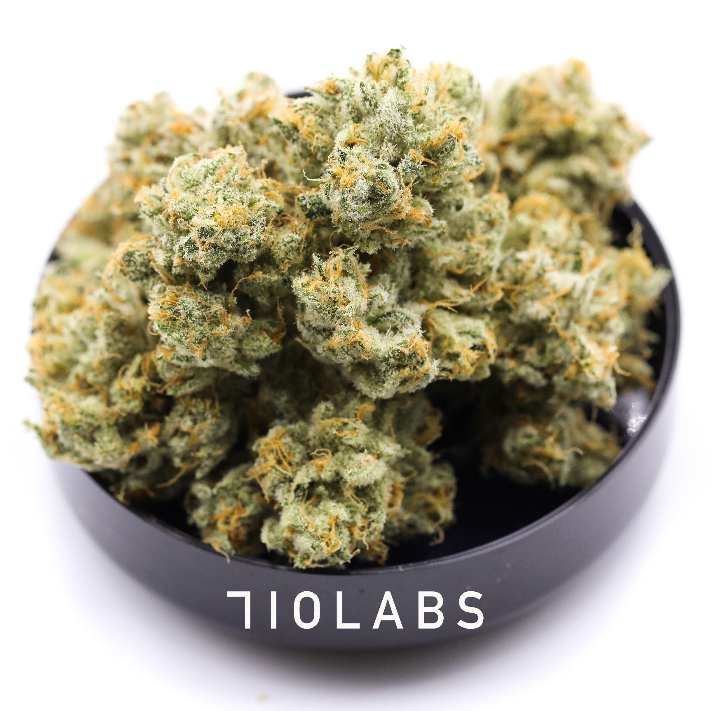 Orange Cream #27 Flower