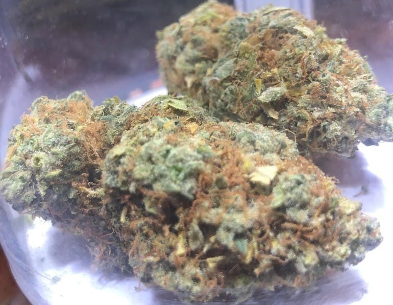 Chocolope