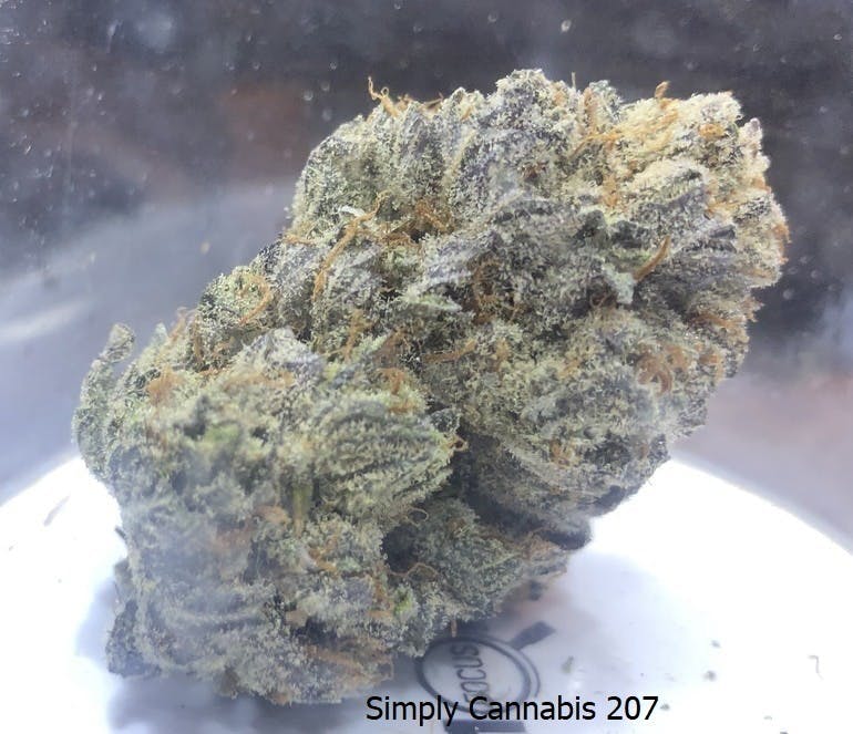 Buddha Tahoe OG